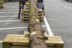 2022-10-15-08-38-32-sgw-kletterbaum-rüsten