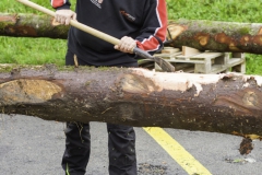 2022-10-15-08-48-30-sgw-kletterbaum-rüsten