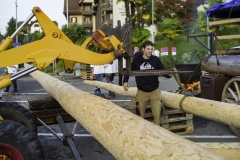 2022-10-29-08-39-19-sgw-kletterbaum-stellen