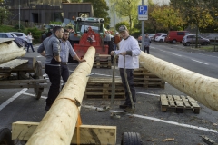 2022-10-29-08-54-35-sgw-kletterbaum-stellen