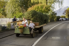 2022-10-29-09-16-13-sgw-kletterbaum-stellen