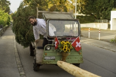 2022-10-29-09-19-20-sgw-kletterbaum-stellen