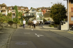2022-10-29-09-46-14-sgw-kletterbaum-stellen