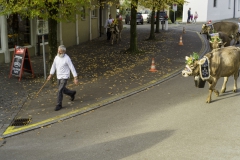 2022-10-29-09-49-27-sgw-kletterbaum-stellen