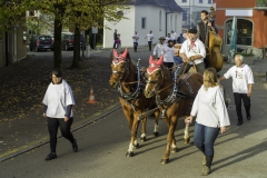 2022-10-29-09-50-31-sgw-kletterbaum-stellen