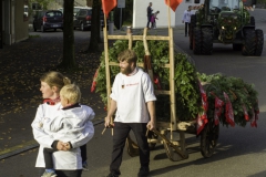 2022-10-29-09-51-17-sgw-kletterbaum-stellen