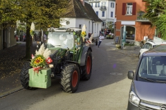 2022-10-29-09-54-25-sgw-kletterbaum-stellen