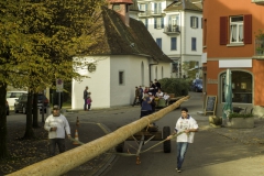 2022-10-29-09-54-43-sgw-kletterbaum-stellen
