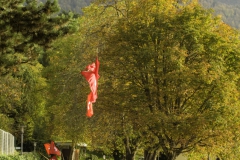 2022-10-29-09-55-37-sgw-kletterbaum-stellen