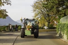 2022-10-29-09-56-29-sgw-kletterbaum-stellen