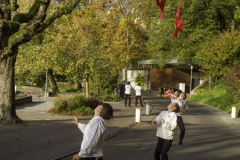2022-10-29-09-58-21-sgw-kletterbaum-stellen