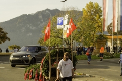 2022-10-29-10-11-01-sgw-kletterbaum-stellen