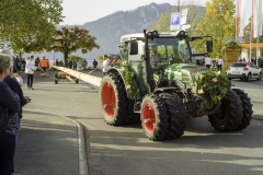 2022-10-29-10-11-33-sgw-kletterbaum-stellen