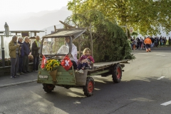 2022-10-29-10-12-21-sgw-kletterbaum-stellen