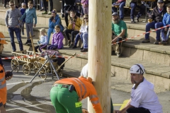 2022-10-29-10-39-24-sgw-kletterbaum-stellen