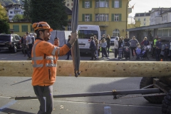 2022-10-29-10-58-44-sgw-kletterbaum-stellen