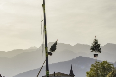 2022-10-29-11-12-04-sgw-kletterbaum-stellen