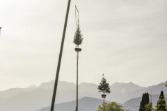 2022-10-29-11-15-28-sgw-kletterbaum-stellen