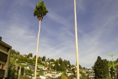 2022-10-29-11-33-23-sgw-kletterbaum-stellen
