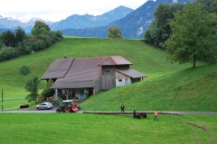 Kletterbaum_faellen_34