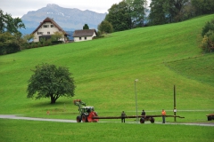Kletterbaum_faellen_44