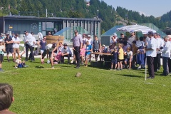 IMG_20250810_153228219