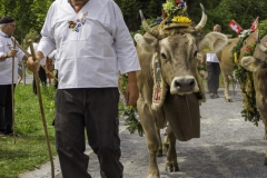 2022-08-14-14-04-42-weggis-sennengesellschaft-laurentiusfeier