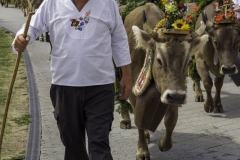 2022-08-14-14-06-19-weggis-sennengesellschaft-laurentiusfeier