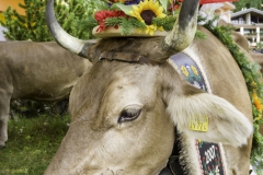 2022-08-14-14-14-08-weggis-sennengesellschaft-laurentiusfeier