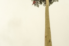 2022_11_14_Montag-276