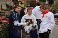 IMG_4556-Kopie