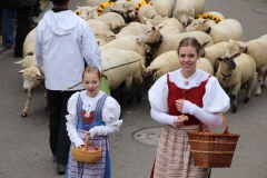 IMG_4676-Kopie